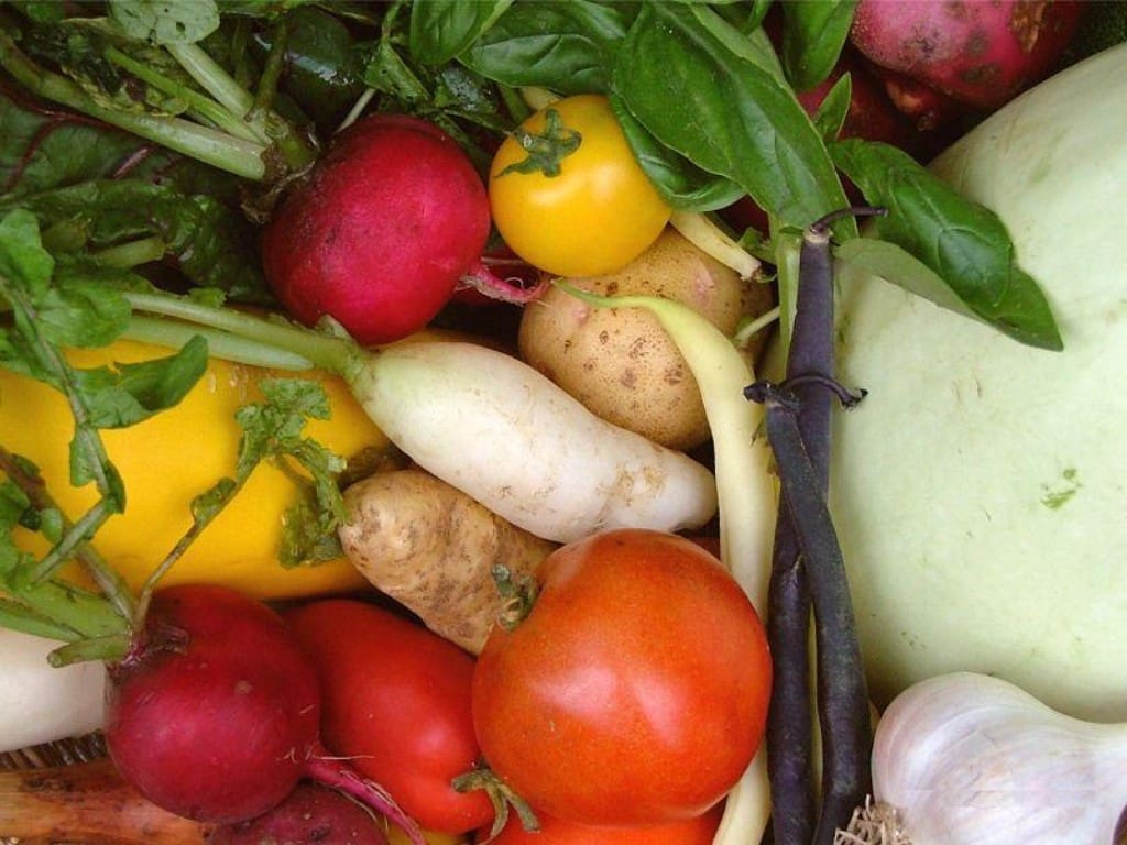 Detox 2013, Part One.