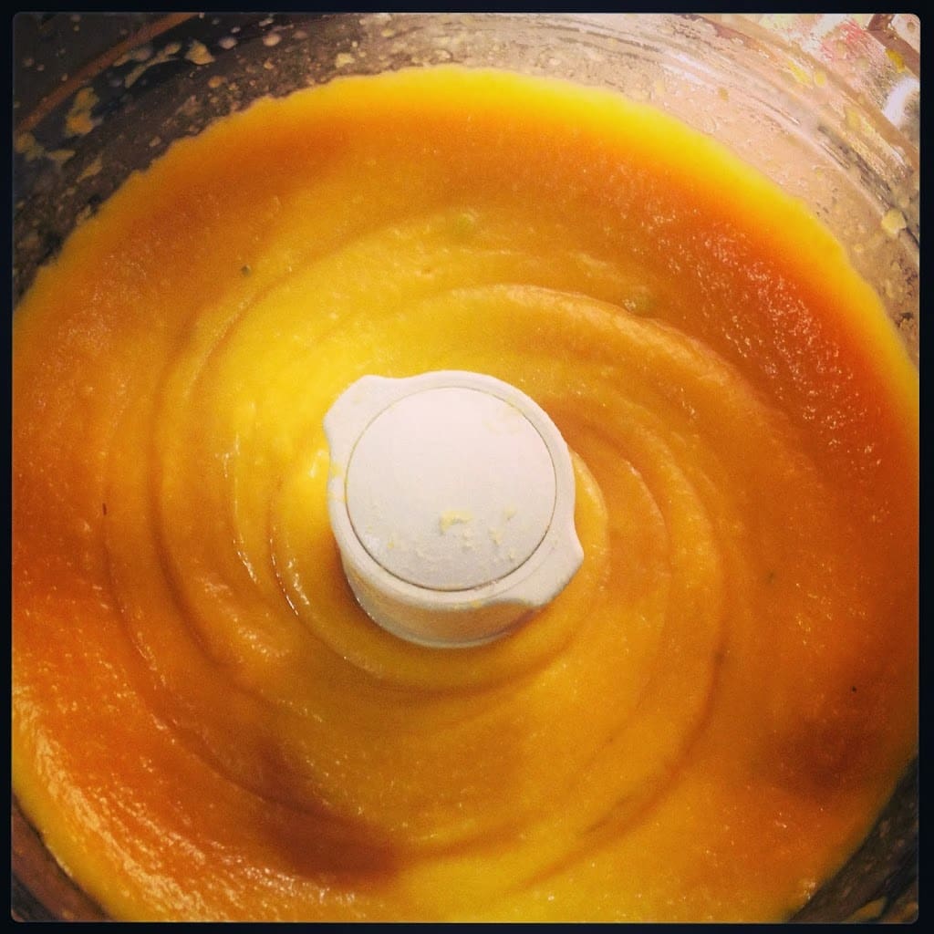 Coconut Whipped Butternut Squash