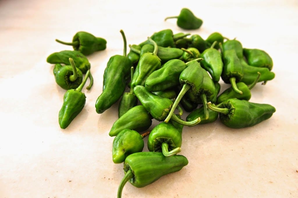 Sautéed Padrón Peppers