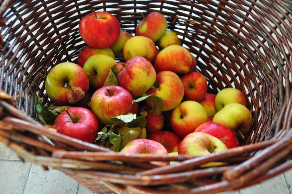 Cardamom-Cinnamon Spiced Apple Bread
