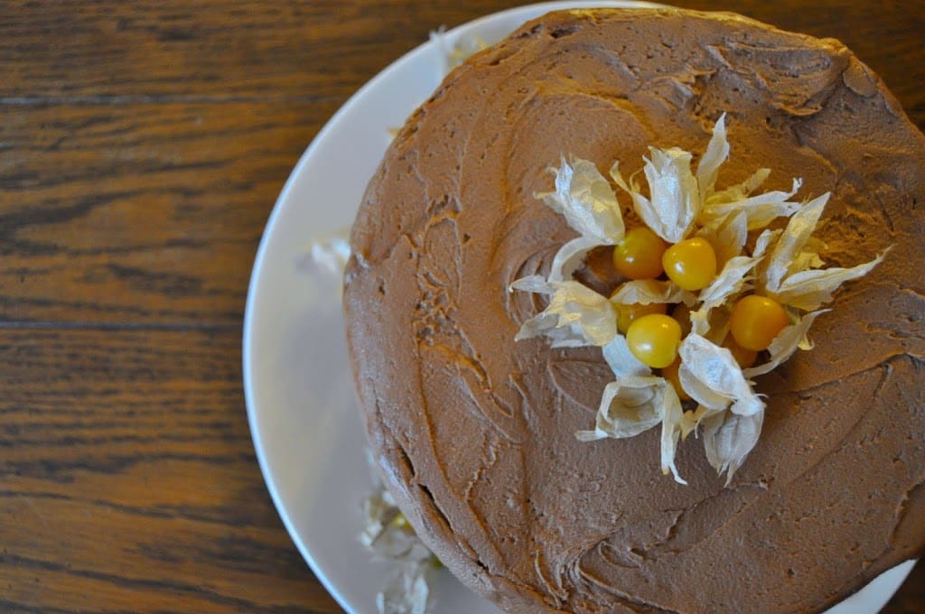 Vegan Chocolate Espresso Frosting