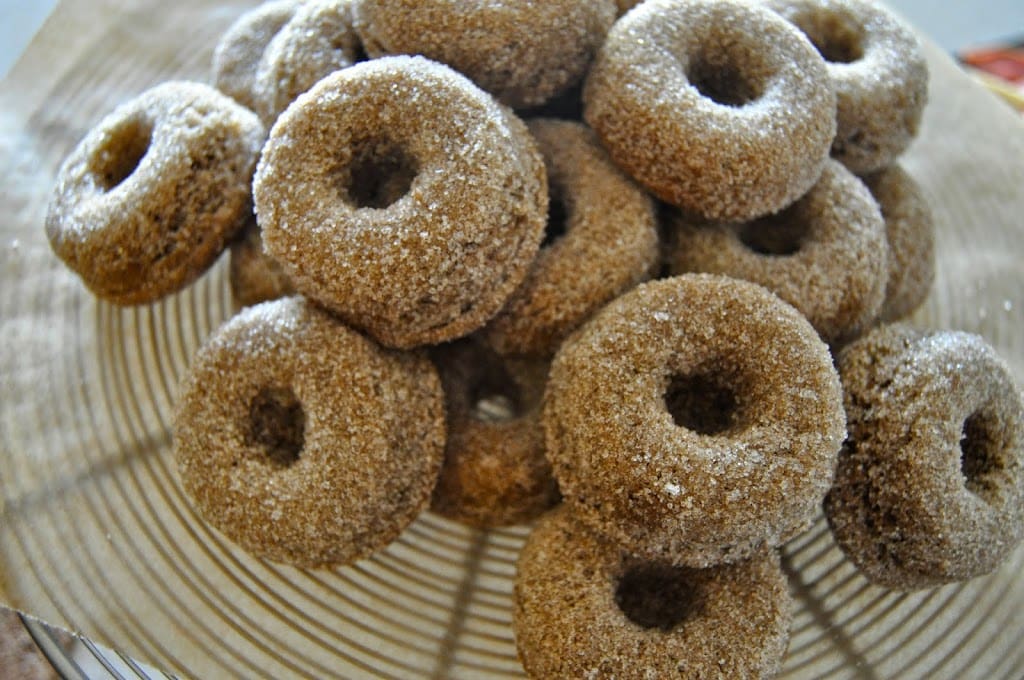 Cinnamon Cider Baby Doughnuts
